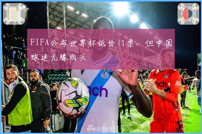 FIFA公布世界杯低价门票，但中国球迷无缘购买